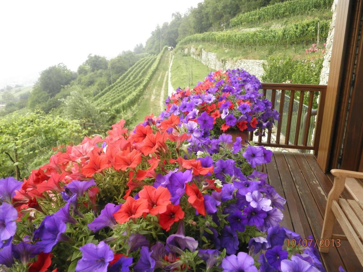 B&B Al Ghiro Villa Lagarina Bilik gambar
